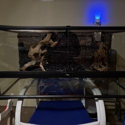 40 Gallon Leopard Gecko enclosure