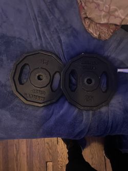 2- 25lb Weight Plates