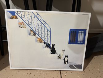 Framed Cats on Stairs Photo Print