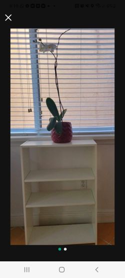 Fantastic Sale For This Beautiful White Book Shelf!!!