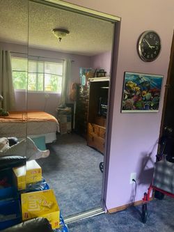 2 giant mirror closet doors