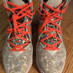 Nike LeBron Basketball Shoes  