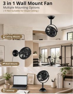 Lediary 10” 3 in 1 ceiling fan