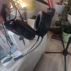Headphones With Mic