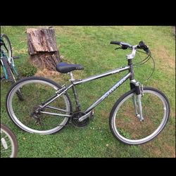 Beautiful Schwinn Bike $65