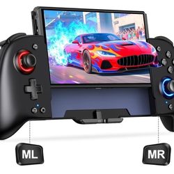 Nintendo Switch Controller