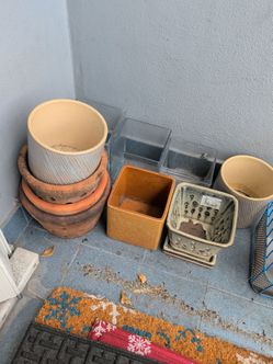 Orchid plant pots and more