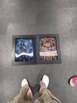 Set of 2 Framed Art Prints