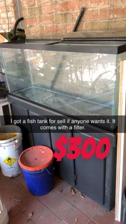 Fish Tank