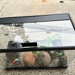 10 gallon fish tank