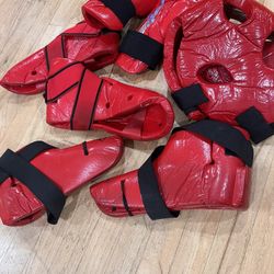 Martial Art Sparring Gear