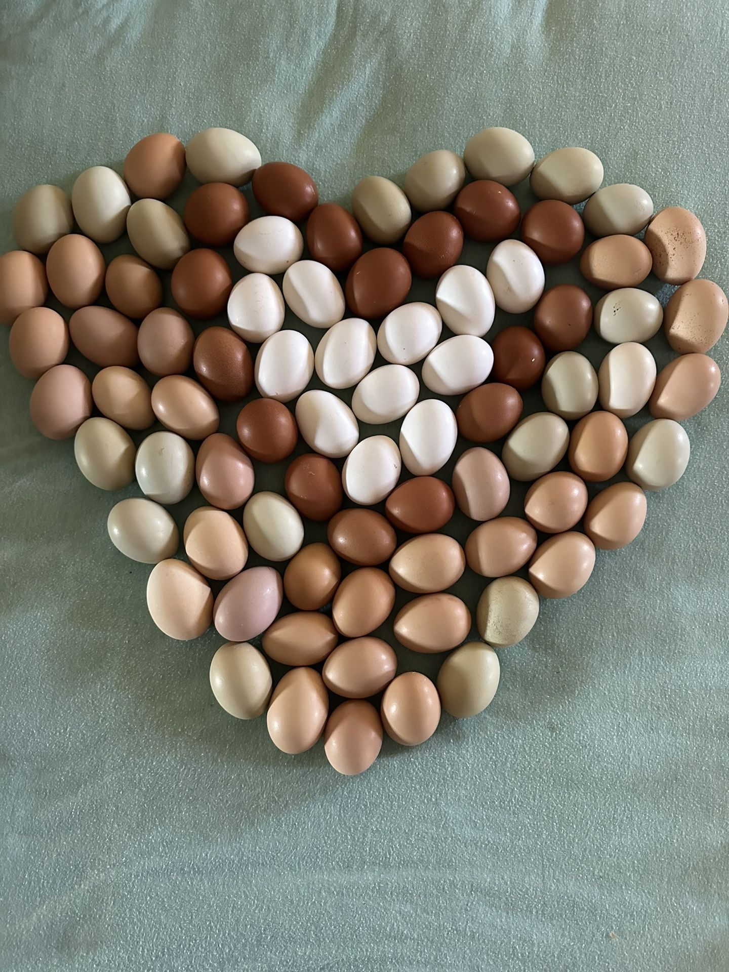 Fresh Farm Eggs
