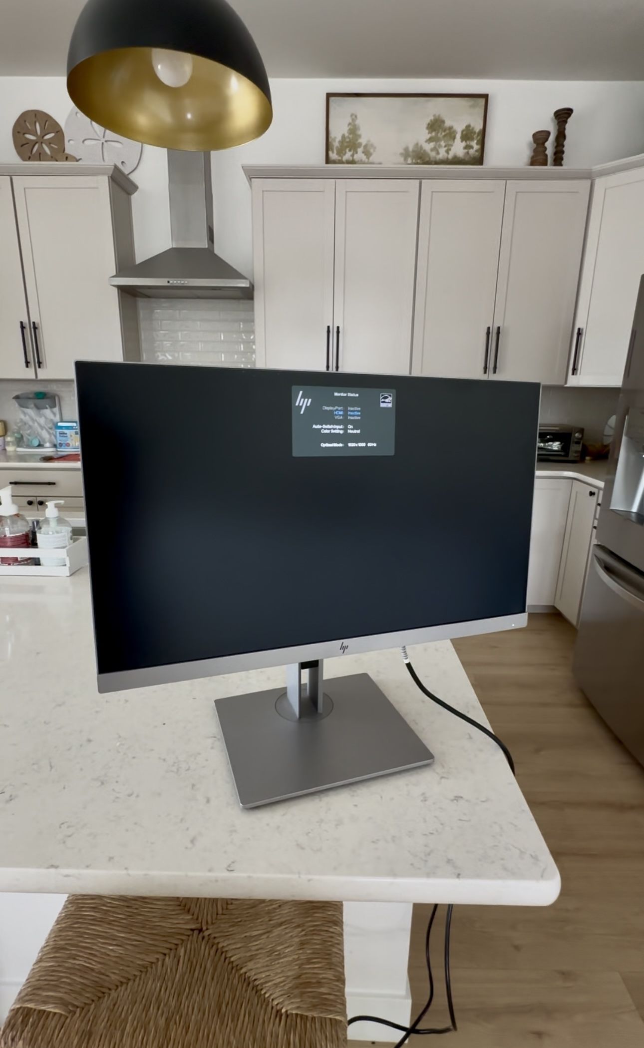 HP 22in Swivel Monitor