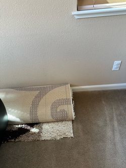 Area Rug with Geometric Pattern