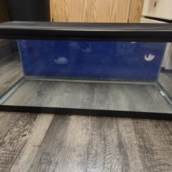 15 Gallon Aquarium with lid