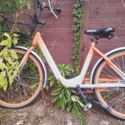Sliver Bike