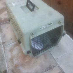 Dog Kennel
