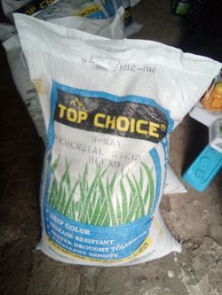 Winter grass seed 50 pound