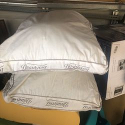 1 Pair Of Beautyrest Pillows For Sale