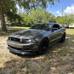 2014 Ford Mustang