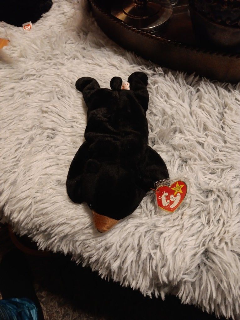 Blackie The Bear