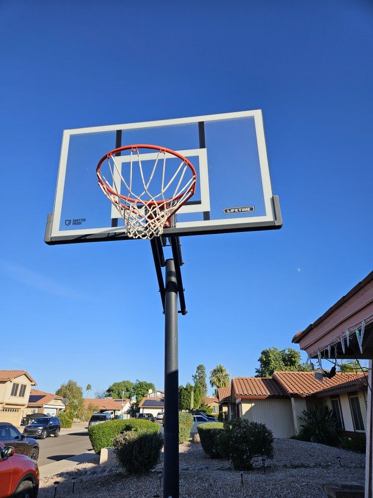 Lifetime Basketball Hoop