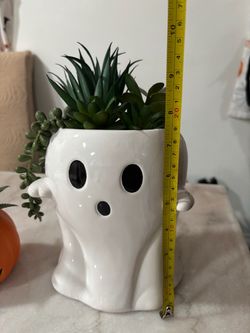 Halloween Ghost and Pumpkin Faux Succulent Set