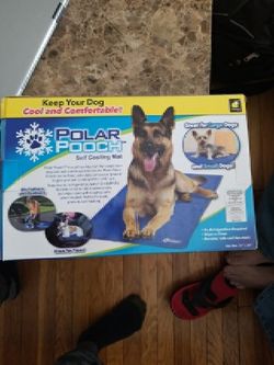 Polar pooch