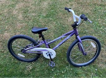 Specialized Hotrock— kid’s bike