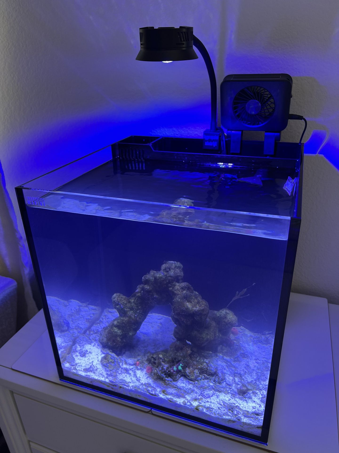 Innovative Marine Nuvo 15