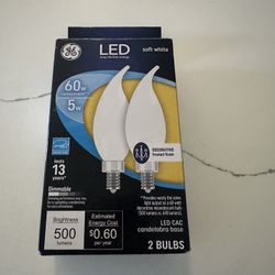 LED Lightbulbs $5