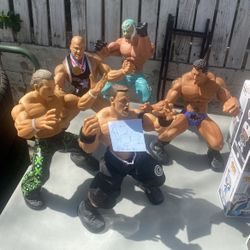 Wrestling Figures