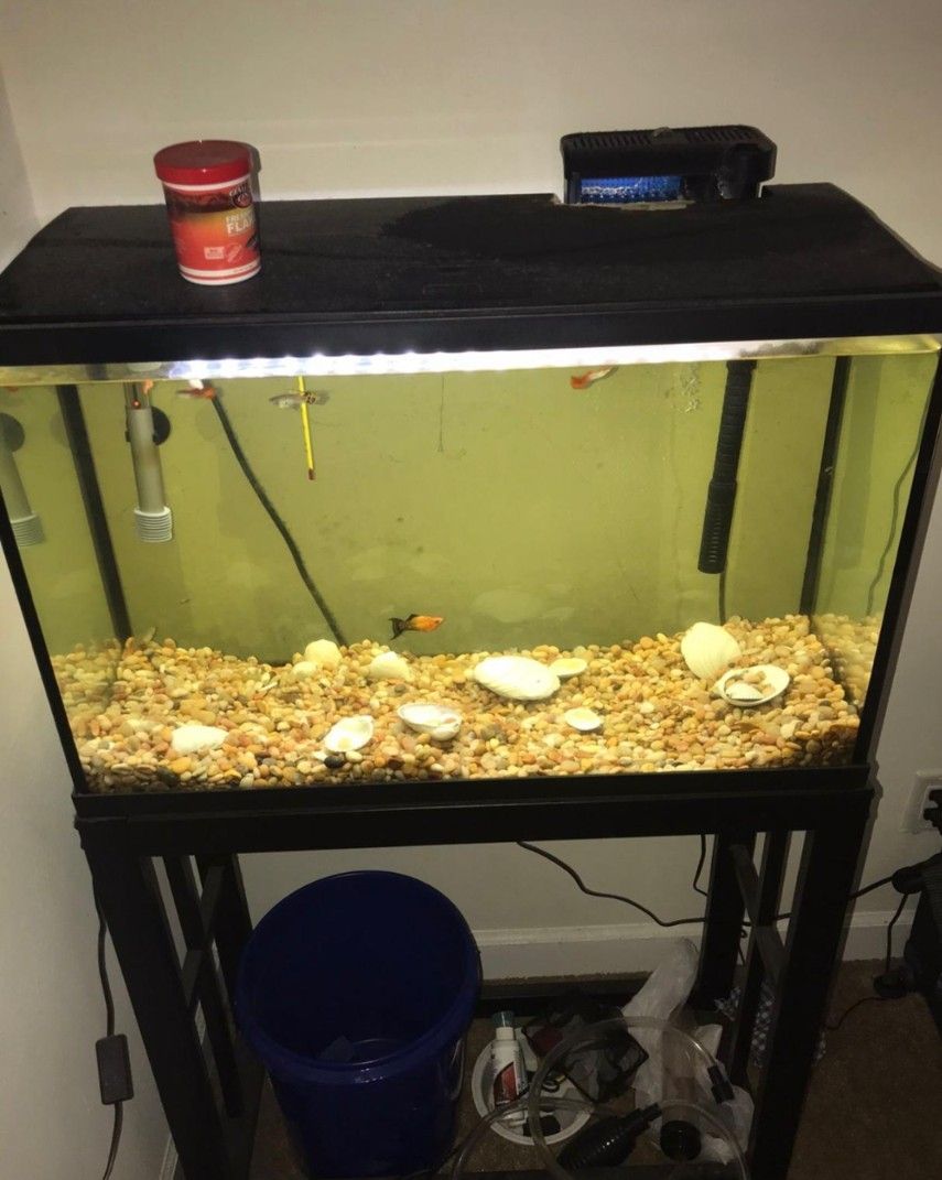 Fish Tank With Stand