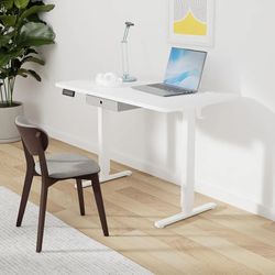 Electric Standing Desk with Drawer, 48 x 24 Inch Sit to Stand Up Desk with Storage, Height Adjustable Ergonomic Computer Desk with Wire Hole and Hook 