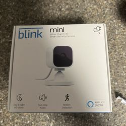 Blink Mini