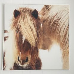 Wall Art.     Icelandic Horses 