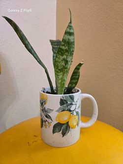 Snake Plant in Lemon Print Ceramic Mug