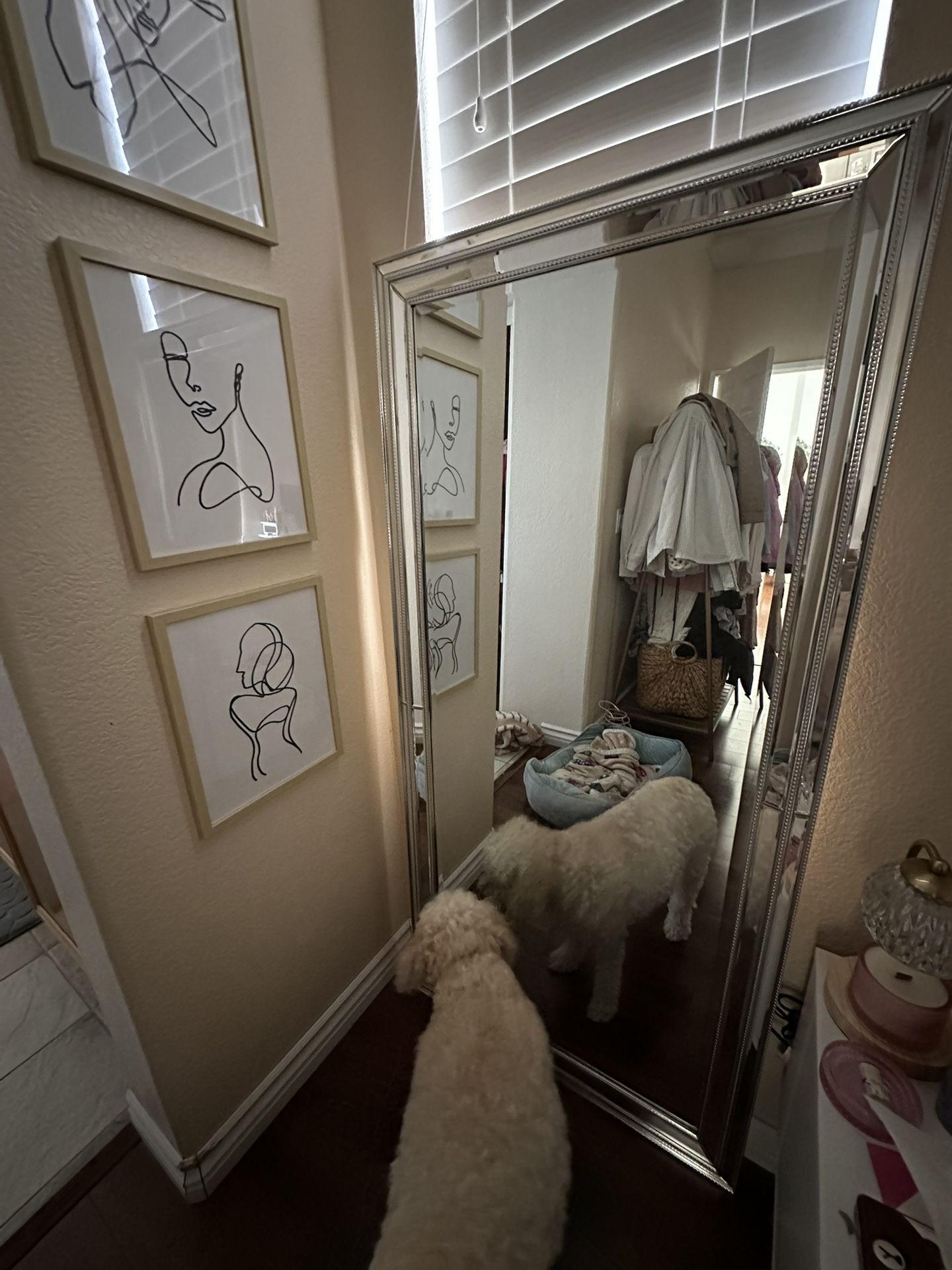 Silver Mirror