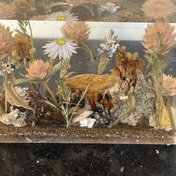 Vintage Lucite Dried Wildflower & Natural Elements Paperweight  5.5”x 3.5”