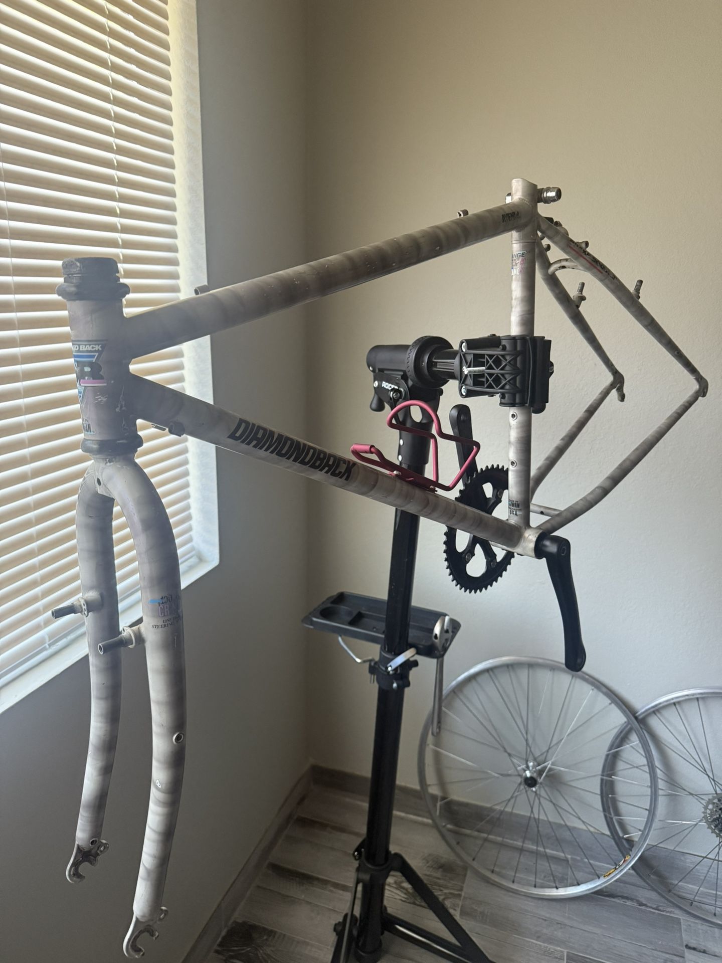 Diamond Back Ascent Ex