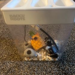 Back To The Roots Fish Tank