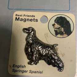 English Springer Spaniel. Magnet 