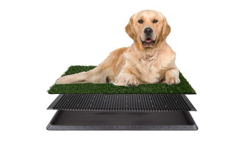 Artificial Grass Pee Pad for Dogs - 20x30 Reusable 3-Layer with Tray (NEW)