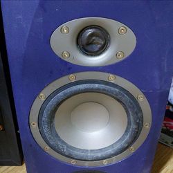 TANNOY SPEAKERS UNKNOWN CONDITION PAIR