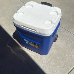 Igloo Cooler