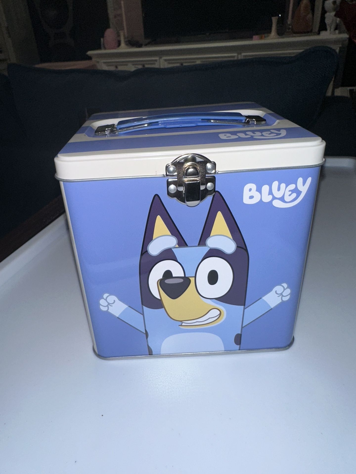 Bluey Lunch Box/storage