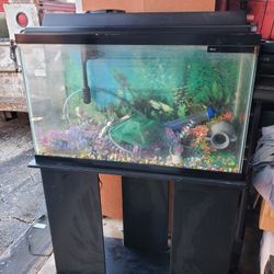 Fish Tank