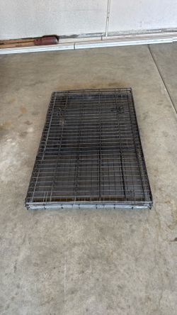Large dog kennel