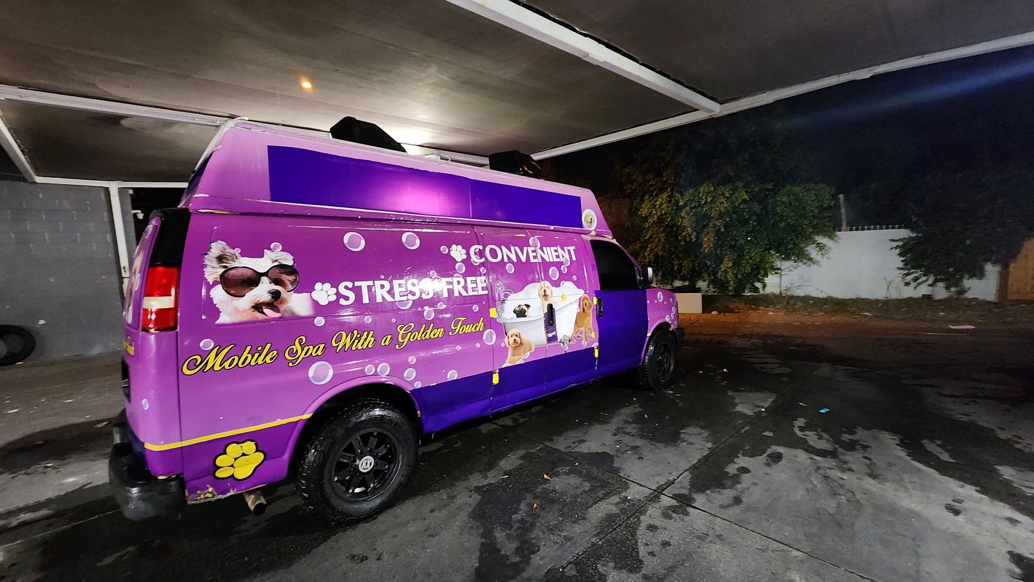 2008 Chevrolet Express