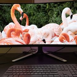 Alienware 34 QD OLED WQHD 175 HZ Gaming Monitor